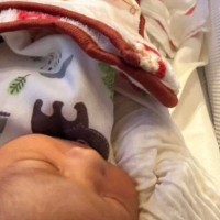 ベッドで横になる『生まれたばかりの赤ちゃん』→２匹の猫が近づいてくると…尊すぎる光景に５万いいね「幸せな気持ちになった」「優しい世界」
