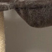 キャットタワーのハンモックを見たら、子猫が…まるでかくれんぼ中のような『尊すぎる光景』に１万いいね「かわちぃぃぃ」「一緒に遊びたい」