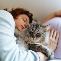 猫が飼い主の『腕の中で寝たがる』理由4つ　安心してくれている証？上手に対応するコツまで