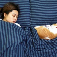 猫が飼い主に『おしりを向けて眠っている』ときの理由5つ　どんな人が見られるの？隠されている心理も解説