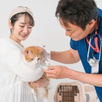 猫が『入院することになる』4つの原因　治療や検査が必要なケースとは？備えておきたいことも