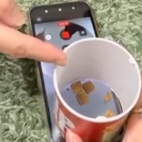 スマホの上に『おやつ』を設置→猫のことを『ドアップ』で撮ろうとした結果…予想外すぎる行動に「天才ｗｗ」「お笑いをわかってる」と爆笑の声
