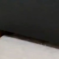 ベッドの『狭い隙間』を見ていると……衝撃の瞬間に３万いいね「ビックリしたｗ」「やはり液体か」「一瞬Gかと思った」と話題に