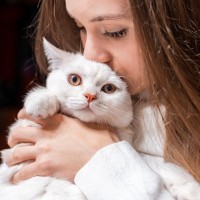 猫が『喉をゴロゴロ鳴らさなくなった』ときの理由4つ　心身に不調が隠れている可能性も…