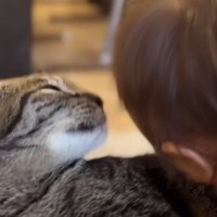 ソファでくつろぐ猫→『赤ちゃん』が顔を近づけて甘えてきた結果…『まさかの行動』が尊すぎると28万再生「本当に大人しい」「愛が深い」