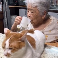おばあちゃんが口をゆすごうとしたら、『目の前にいた猫』が…ハプニングの瞬間が178万再生「ラブラブすぎｗ」「電車で笑ってしまったｗ」