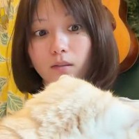 パソコン作業中、近くにいた愛猫→何度も『猫吸い』をしていると…笑ってしまう展開に１万いいね「スイッチ押しちゃったｗ」「吸いすぎ注意ｗ」
