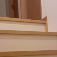 階段を上る飼い主→『猫のおしり』が見えてきて…思わず吹き出す『まさかの光景』が29万再生「朝から声出して笑った」「予想できなかったｗ」