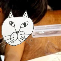 ７匹の猫が暮らす家→『勉強中の息子』の周りを見ると…集中力が凄すぎる『驚きの光景』に３万いいね「情報量が多い」「耐えられるのすごい」