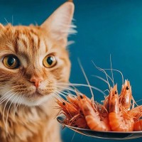 猫が絶対に食べてはいけない『危ない魚介類』3選　起こりうる健康トラブルや注意が必要な理由を解説