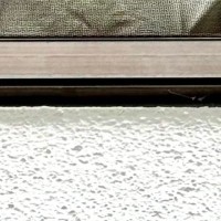 猫を連れて帰省→『実家にいる猫』と対面させた結果…予想外の『尊すぎる展開』に２万いいね「息ピッタリだね」「話しているみたいｗ」