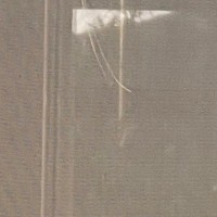 網戸を『外からは見えにくいタイプ』に張り替え→確認してみると、犬と猫が…『まさかの光景』に「面白すぎて涙が出そうｗ」「お義母さんｗ」