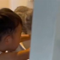 トイレから『楽しげな声』→覗いてみると、『猫と男の子』が……まさかの瞬間が152万再生「絆を感じるなｗ」「猫のアニキ感ｗｗ」