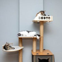 愛猫にぴったりな『キャットタワー』を選ぶコツ5つ　タイプ別の良い点・悪い点や失敗しないためのポイント