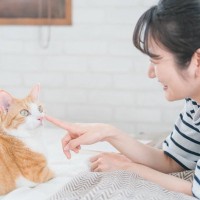 猫が人に『挨拶』をしているサイン4選　気付いてあげたい仕草や上手な返し方まで
