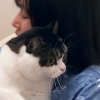 酔っ払いのママに『近づいてしまった猫』→捕まってしまい…笑ってしまう光景が35万再生「顔が本当に好きすぎる」「離れて見守ってるｗ」