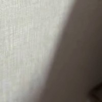 掃除機をかけていると、『狭い隙間』に…猫たちがとった『可愛すぎる行動』に癒される人が続出「重なってるｗｗ」「笑っちゃったｗ」