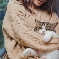 猫が落ち着ける『正しい抱っこ』のポイント5つ　嫌がってしまう理由や避けるべき抱き方まで