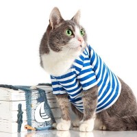 第2次世界大戦中、輸送艦に乗り組み「水兵」として大活躍した猫　戦後は「退役軍人」として静かな余生を満喫　米国
