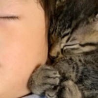 ソファを見たら、『赤ちゃんと子猫たち』が集まっていて…とんでもなく尊い『お昼寝の様子』に２万いいね「反則級の可愛さ」「幸せしかない」