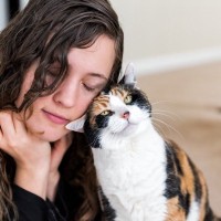 猫が『あなたの愛情』を受け取っているときのサイン5つ　幸せを感じている証？絆をより深める応え方も