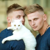 猫はどのように『飼い主と他人』を見分けているの？5つの判別ポイントや方法を解説
