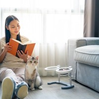 猫と一緒に住める『ペット可物件』でよく起こるトラブル4選　飼い主が守るべきマナーから予防策まで