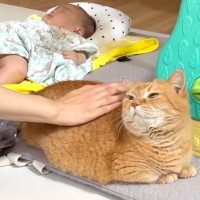 赤ちゃんを寝かしつけていると、猫がずっとそばにいてくれて…ほっこりする光景が15万再生「優しくて素敵なお兄ちゃん」「可愛くて癒された」