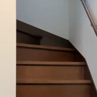 上の階にいる『甘えん坊猫』の名前を呼ぶと、次の瞬間…あまりにも『尊すぎる光景』が59万再生「可愛くてたまらん」「羨ましい限り」