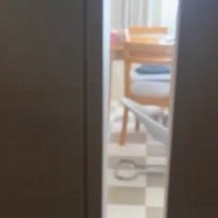 リビングにバウンサーを置いていたら、わずか20秒後…予想外の『可愛すぎる光景』が52万再生「顔に笑ったｗ」「自認赤ちゃんだよね」