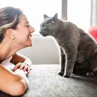 猫との生活を『無理なく送る』ための心得5つ　日々のお世話をラクにする工夫もご紹介