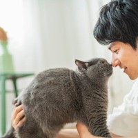 猫が『尊敬している人』にだけみせるサイン5選　リスペクトされる人の共通点や頼られるための心得