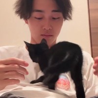 保護子猫たちが家に来てわずか"5分後"…完全に想定外な『可愛すぎる行動』が14万再生「安心できたんだね」「すぐ慣れてよかったｗ」
