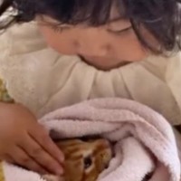 保護子猫を抱っこする『2歳の女の子』、まるで小さなお母さんのようで…尊すぎる光景に「心が洗われた」「何度も見てしまった」と80万再生