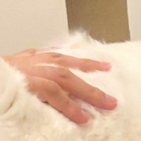 撫でてほしくて飼い主におしりを向けていた猫→『表情』を見ると…可愛すぎる光景に２万いいね「最高にいい顔してる」「たまんないｗ」