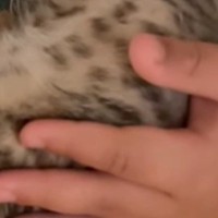 男の子が『子猫を抱っこ』して背中を優しくさすってあげると…幸せあふれる光景に「いいお父さんになる」「愛を感じる」と絶賛の声