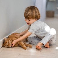 「一緒にがんばるニャン！」　発達障害のある子どもが「飼い猫」を訓練することで、お互いの結びつきや社会性が向上することが判明　米大学の研究