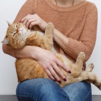 猫に嫌がられる『NGな撫で方』5つ　不快に感じる理由や喜ばれる触り方のコツも