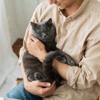 猫のことを『幸せにさせる飼い主』に共通する特徴5つ　参考にしたい接し方や心がけたいこと