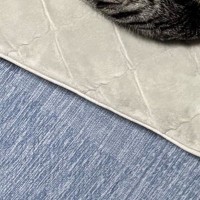 『猫なにしてるかな』とお風呂上がりにリビングへ戻ったら…予想外の『可愛すぎる光景』に2万9000いいね「めっちゃ嬉しそうな顔」「尊い」