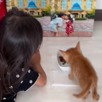 『死にそうだったから』とパパが連れ帰った子猫→子供たちと少しずつ距離を縮めていって…尊い光景が139万再生「優しくて素敵」「可愛すぎ」