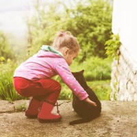 中世の伝説とモーリス・セローの彫刻で、人々を魅了する「猫の村」　フランス