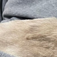 トライアル中の保護猫→家に来てまだ『2日目』なのに…涙が出るほど尊い『まさかの行動』に1万いいね「顔が見えないｗ」「お幸せに」