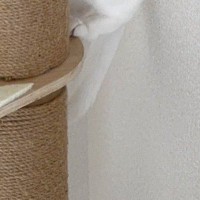 『知らない人』が家にきた結果…猫が見せた『まさかの隠れ方』が可愛すぎると1万いいね「壁と同化して気づかれないはず」「丸見えｗ」
