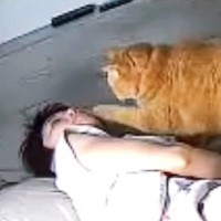 毎朝『飼い主を起こしにやってくる猫』…二度寝、三度寝にも負けない『健気な様子』に17万いいね「優しい起こし方」「デレデレで羨ましい」