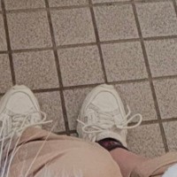 靴を履こうと座ったら、猫がやってきて…想定外の『可愛すぎる行動』に3万いいね「もふらなければならない」「連れていってほしそう」