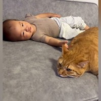 赤ちゃんのそばでくつろいでいた『お兄ちゃん猫』…ほっこりする光景が30万再生「大きさが一緒だね」「ママには甘えたいんだｗ」