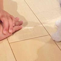 保育園から帰ってきた男の子→子猫のもとへ向かうと…『尊すぎる光景』に14万いいね「なんか知らんけど泣きそう」「幸せが詰まってる」