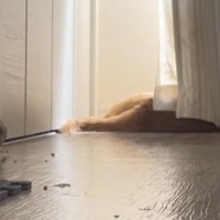 日向ぼっこ中の猫→いつもより早く『飼い主が帰ってきた』結果…気付いた瞬間の反応が可愛すぎると話題「愛おしい」「表情豊かだよね」