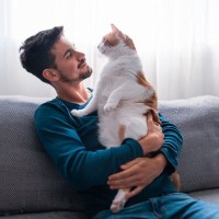 猫へ『愛情をしっかり届ける方法』3選　伝えるメリットや心がけるべきことも